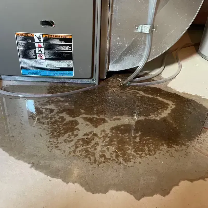 Appliance Leak Cleanup in Franklin County, IL